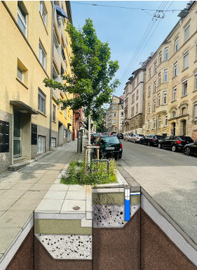 Stadtbäume Stuttgart