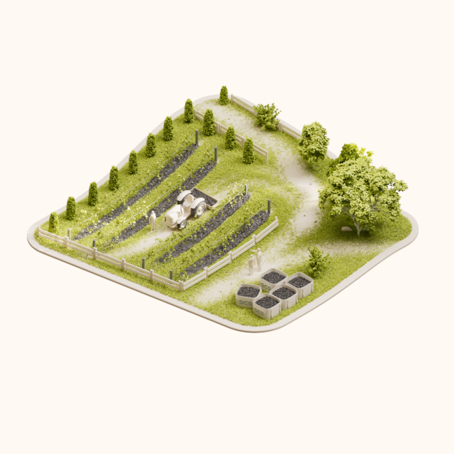 Weinbau